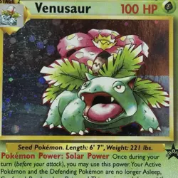 Venusaur #13 Holo WotC Black Star Promo Vintage Pokemon TCG Card - Image 4