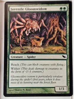 Juvenile Gloomwidow - Shadowmoor - Magic the Gathering MTG Nice! - Image 1