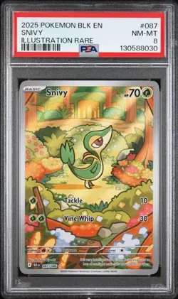 2025 Pokemon BLK EN Snivy FULL ART ILLUSTRATION RARE 087/086 PSA 8 NM-MT - Image 1