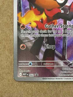 Pokemon TCG Charcadet Holo Promo 022 Phantasmal Flames English Nm - Image 4