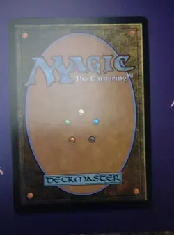 Magic the Gathering-Lorwyn Eclipsed/Hallowed Fountain 265 REGULAR - Image 2