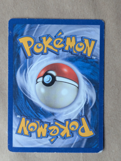 Raikou Rare Non-Holo Pokemon Card Skyridge 28/144 Vintage WOTC - Image 2