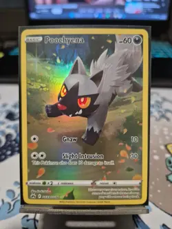 Pokemon Poochyena TCG Galarian Gallery Rare Holo Card GG33/GG70 Crown Zenith - Image 1