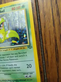 1999 Pokemon Victreebel Jungle Holo 14/64 - Image 3