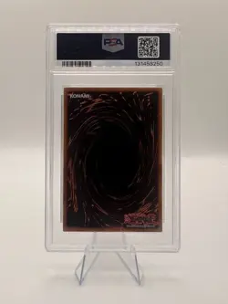 Dark Magician Girl YGLD-ENA04 YuGiOh Yugi's Legendary Decks - PSA 8 - Image 2