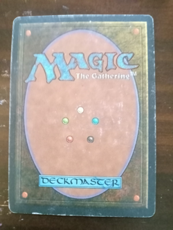 MTG Savannah Revised Edition - Image 2