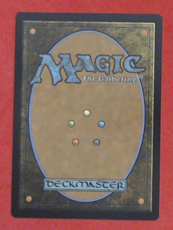 MTG Singles - Unite the Coalition - Dominaria United -E76 - Image 2