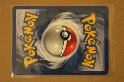 Pokemon TCG Bayleef 29/111 Neo Genesis Regular Vintage First Addition - Image 2