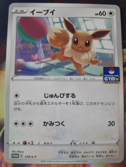 Eevee 239/S-P GYM PROMO - Pokemon Card Japanese NM - Image 1