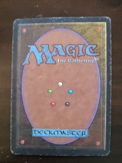 MTG Savannah Revised Edition - Image 2