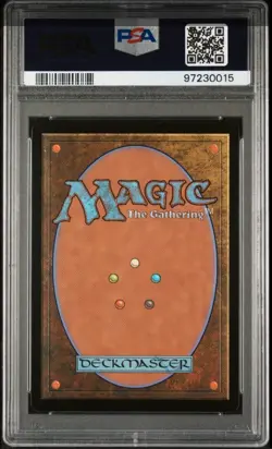 MTG PSA 10 Brain Dead Lands Forest #1651 Basic Secret Lair Drop Lindsten NonFoil - Image 3