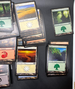 Magic the gathering (100) card lot of Basic land cards Never played with NM/MT - Image 5