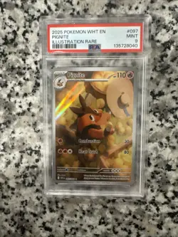 Pokemon 2025 WHT En-White Flare Pignite Illustration Rare PSA 9 Mint #97 - Image 1