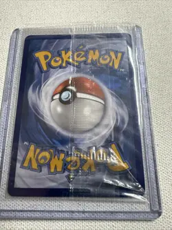 Pokemon TCG Magikarp XY Black Star Promos Holo Card XY143 Sealed - Image 5