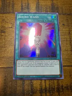 Bound Wand INCH-EN055 1st Edition Super Rare LP + BONUS - Image 1