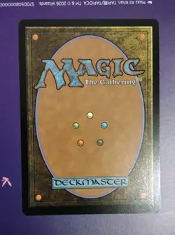 Magic the Gathering-Lorwyn Eclipsed/Hallowed Fountain 265 REGULAR - Image 2