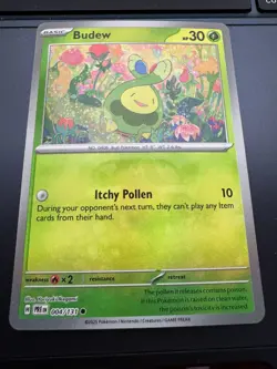Budew (Master Ball Pattern) 004/131 - Sv:Prismatic Evolutions - Pokemon TCG NM - Image 1