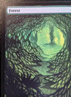 Forest (Full Art) 0266 WOE Land Wilds Of Eldraine Magic: The Gathering - Image 2