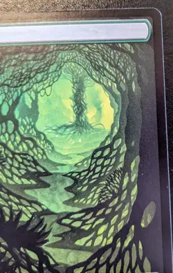 Forest (Full Art) 0266 WOE Land Wilds Of Eldraine Magic: The Gathering - Image 3