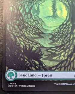 Forest (Full Art) 0266 WOE Land Wilds Of Eldraine Magic: The Gathering - Image 4