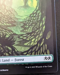 Forest (Full Art) 0266 WOE Land Wilds Of Eldraine Magic: The Gathering - Image 5