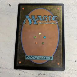 MTG Forest 291 Full Art LCI The Lost Caverns of Ixalan NM - Image 2