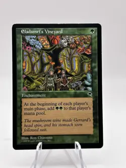 Eladamri's Vineyard Tempest MTG LP - Image 1