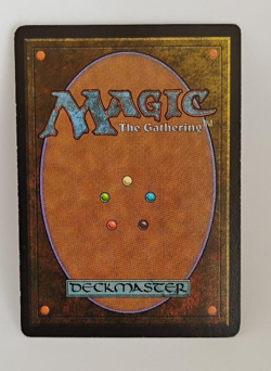 Vintage Serendib Efreet MTG Card Magic the Gathering - Image 3