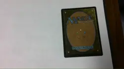 mtg Exalted Sunborn - Image 2