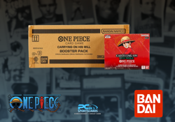 One Piece Carrying On His Will OP13 12-Box Factory Sealed Case RLSC1 - Image 1