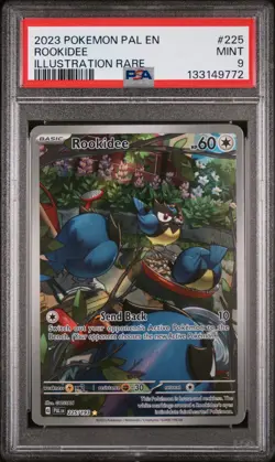 2023 POKEMON PAL EN-PALDEA EVOLVED ILLUSTRATION RARE #225 ROOKIDEE PSA 9 - Image 1