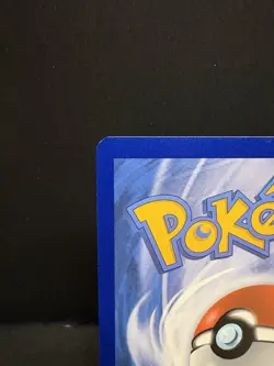 Charizard V SWSH260 SWSH: Sword & Shield Promo Cards Holo - Image 4