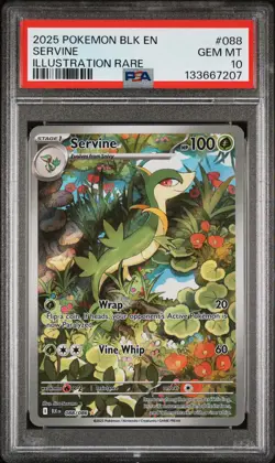 2025 POKEMON BLK EN-BLACK BOLT ILLUSTRATION RARE #088 SERVINE PSA 10 - Image 1