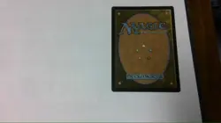 mtg Displacer Kitten - Image 2