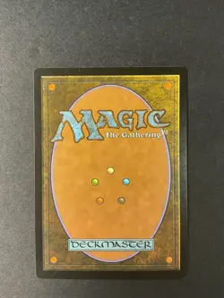 Drowned Catacomb - Ixalan - Magic the Gathering - MTG - Image 2