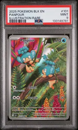 2025 POKEMON BLK EN-BLACK BOLT ILLUSTRATION RARE #101 PANPOUR PSA 9 - Image 1