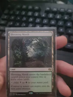 Blooming Marsh Kaladesh Regular - Image 1