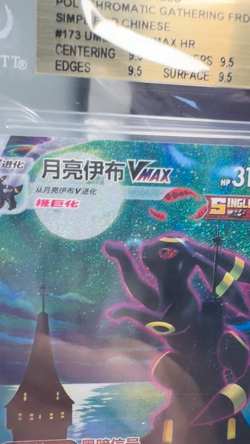 2024 Pokemon Sword & Shield Umbreon VMAX HR *25 Jumbo* Chinese BGS 9.5 （PSA10） - Image 2