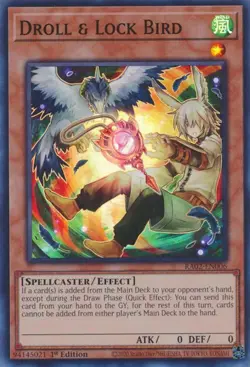 Droll & Lock Bird (Alternate Art)-Super Rare - 1st Edition - RA02-EN006 - 25t... - Image 1