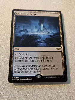 Gloomlake Verge (#260) Non-Foil (Near Mint) - Image 1