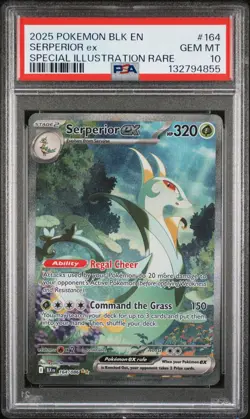 PSA 10 Serperior ex #164 Pokemon Black Bolt English 2025 - Image 1
