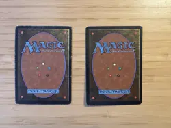 Rukh Egg and Manabarbs Signed By Christopher Rush Mtg Magic The Gathering - Image 2