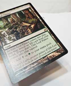 Gilt-Leaf Palace Lorwyn MTG Magic The Gathering 293 - Image 5
