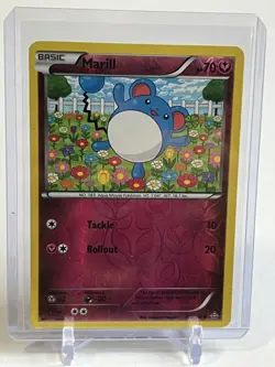 Pokemon - XY - Primal Clash Marill 102/160 Reverse Holo - NM - Image 1