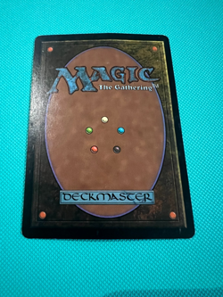 Time Warp - Starter 1999 - MTG - Magic the Gathering - Image 3
