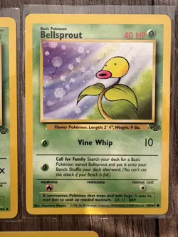 Pokemon TCG Jungle Collection Collector Cards (5 cards) in soft plastic covering - Image 4