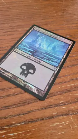 * * 1x FOIL Snow-Covered Swamp x1 * * Coldsnap MTG Light to Moderate Play - Image 4