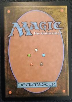 MTG Misty Rainforest NM Foil Zendikar Expedition (English) - Image 2