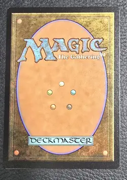 MTG Sigarda, Champion of Light #240 - Innistrad: Double Feature - NM Condition - Image 2