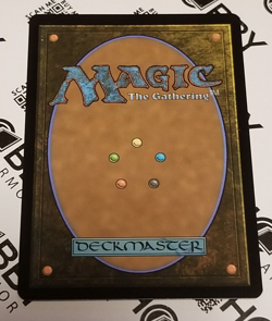 Magic the Gathering - The Walls Of Ba Sing Se - NM condition - Image 2